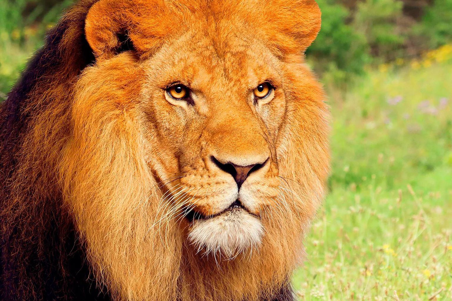 Terra Natura Murcia horaires : planifier votre visite en pratique