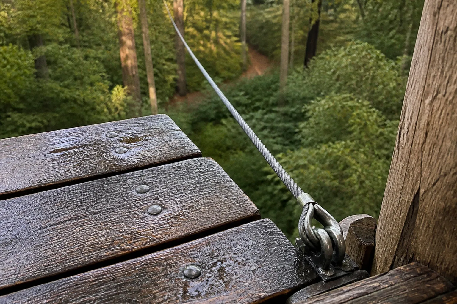Treetops Adventure à Canberra : guide pratique de votre visite