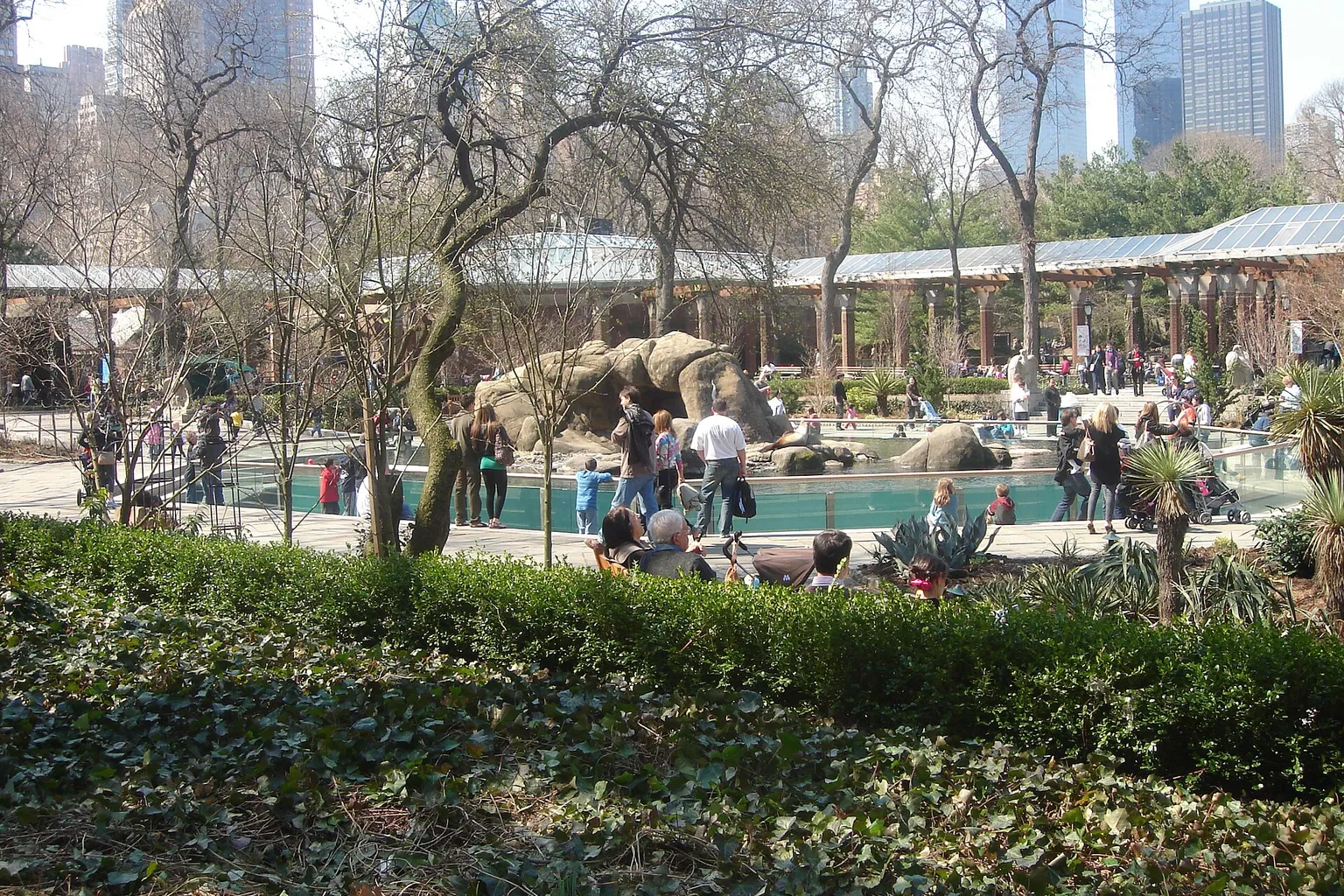 Zoo de Central Park : quels sont les horaires de visite ?