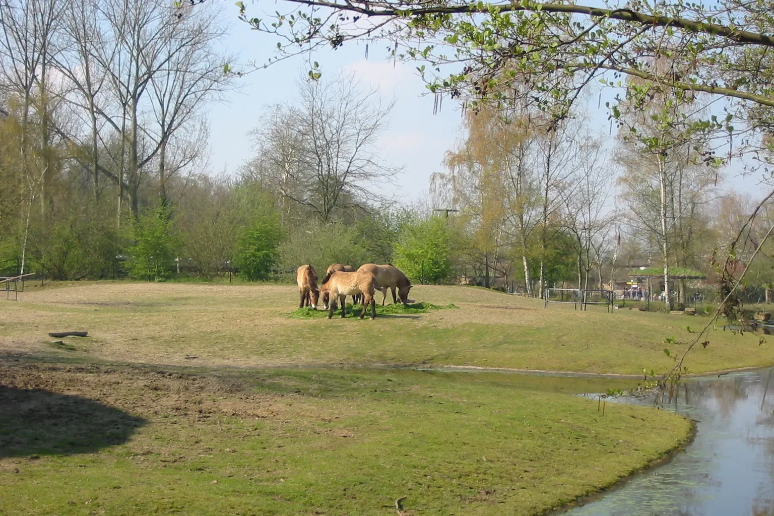 Zoo de Planckendael tarifs : options et conseils de visite